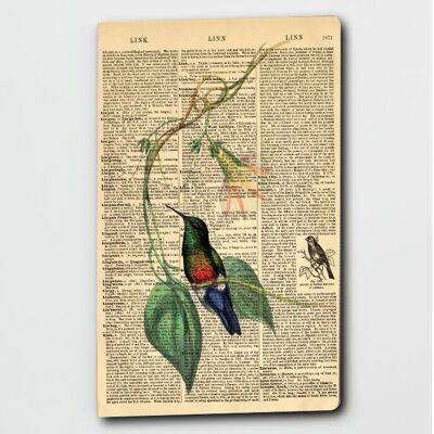 Cuaderno de diccionario de arte colibrí (WAN23401)