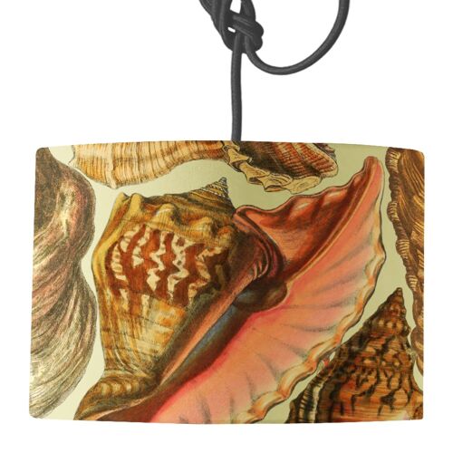 Shells Lamp Shade