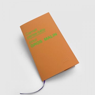 Carnet pense-bête pour GROS MALIN - Papier recyclé