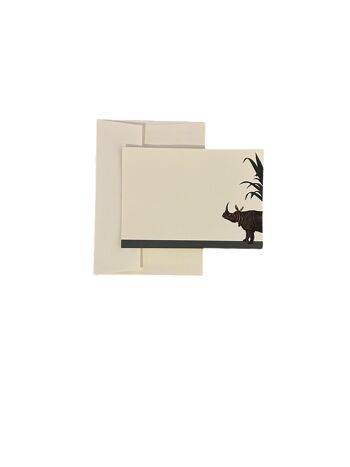 Ensemble de cartes pour notes « Reluctant Rhino » de Darwin's Menagerie avec enveloppes vernies 3