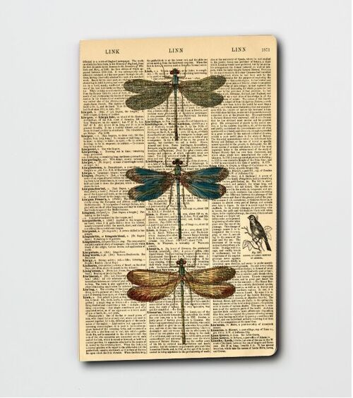 Dictionary Art Dragonfly Notebook - Dragonfly Notepad - WAN23400