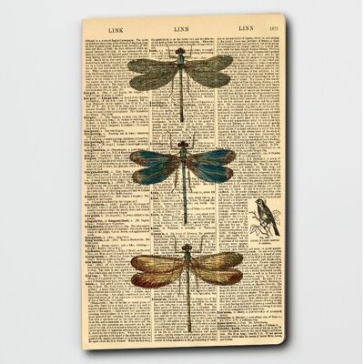 Dictionary Art Libellen-Notizbuch – Libellen-Notizblock – WAN23400
