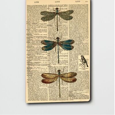 Dictionary Art Dragonfly Notebook - Dragonfly Notepad - WAN23400