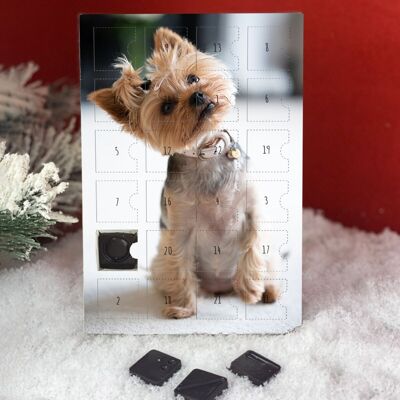 Yorkshire terrier advent calendar
