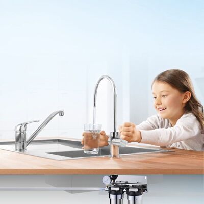 Home Ever - Undersink Water Purifier
