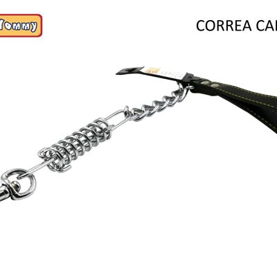 Correa De Cadenas Para Perros (Cordo)