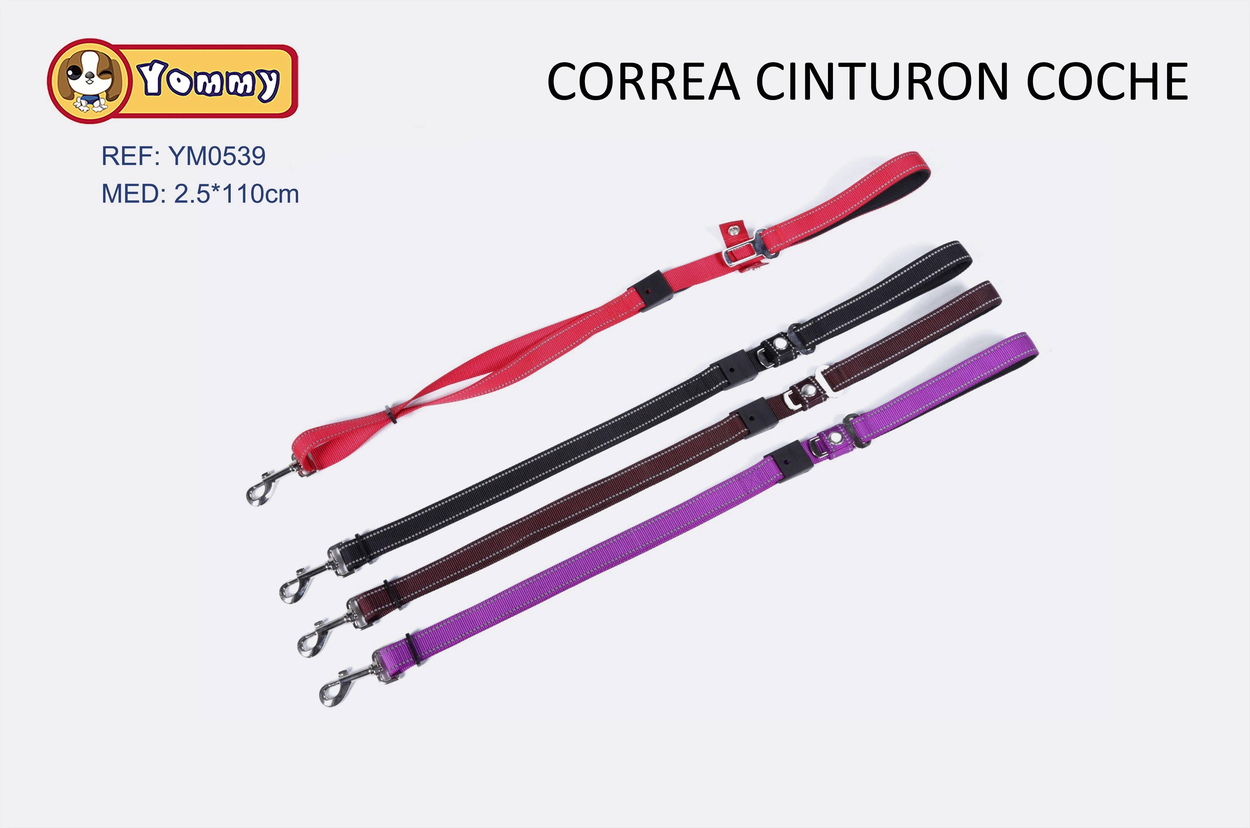 Correa Cinturon Coche (2,5*110)