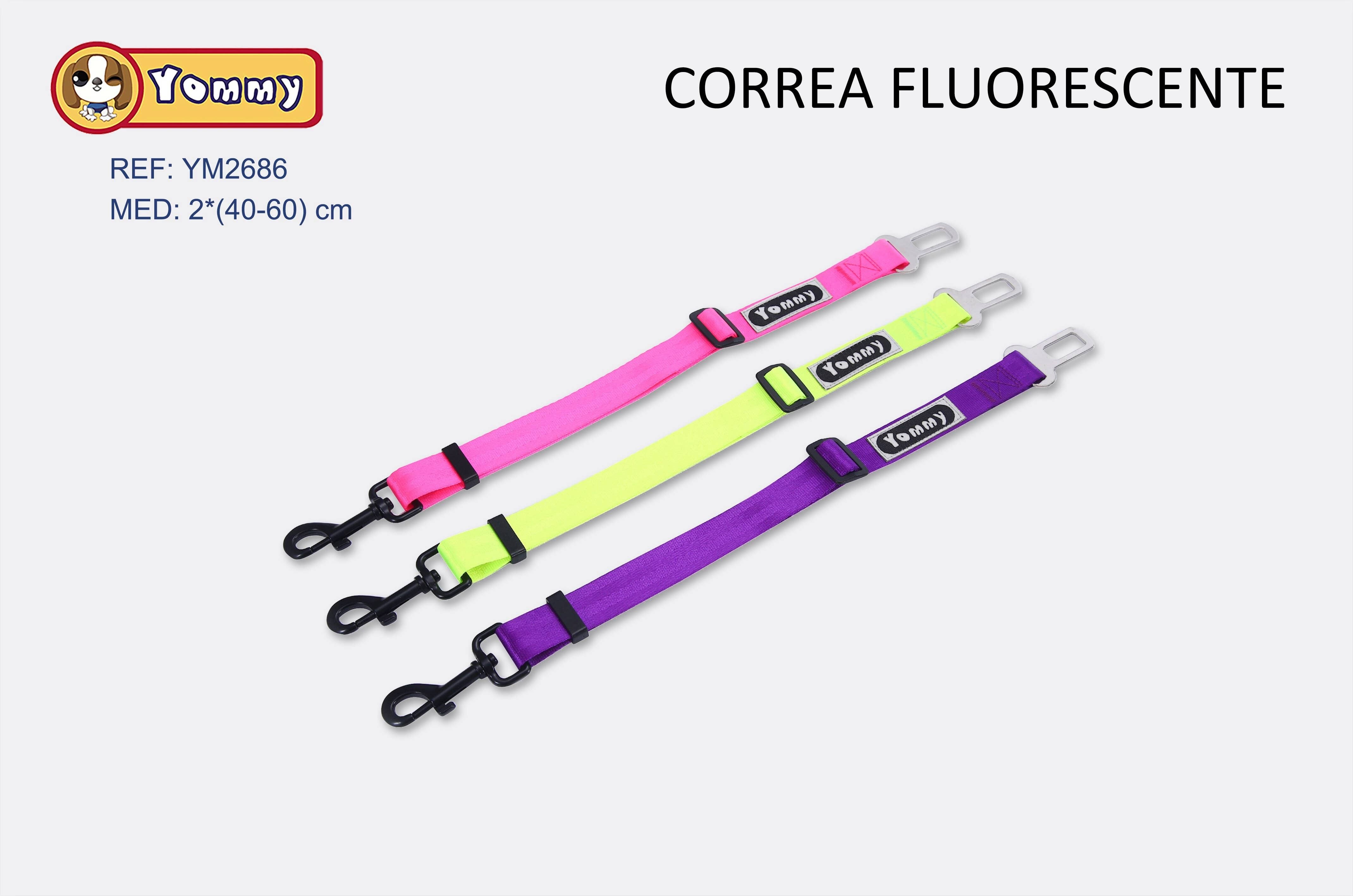 Correa Fluorescente (3 Farben)