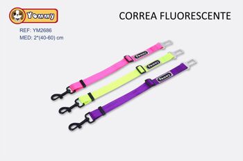 Correa Fluorescente (3 couleurs) 1