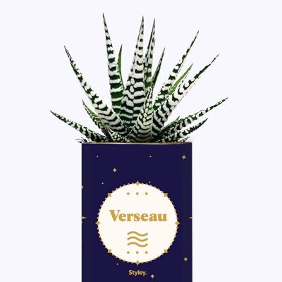 Succulent Plant - Astrological Sign