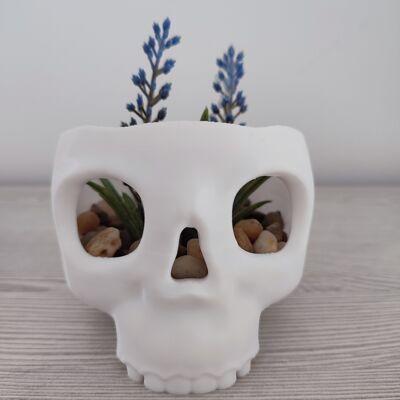HALLOWEEN skull pot - Home and garden decoration