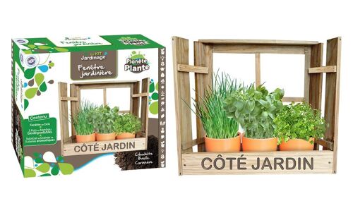 Planète Plante - 12 Pots Biodegradables et Graines À Planter - Kit de  Jardinage - 170030 - Bambou - Jardin - Nature - Plante - Fleurs - Jeu pour
