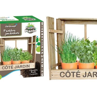 PLANETE PLANTE - Jardiniere Fenetre Avec 3 Pots En Bambou Et 3 Varietes De Graine À Planter - Kit de Jardinage - 170034 - Bois - Jardin - Nature - Plante - Fleurs - À Partir de 4 ans