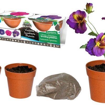 PLANETE PLANTE - 3 Pots Biodegradables et Graines À Planter - Kit de Jardinage - 170037 - Bambou - Jardin - Nature - Plante - Fleurs - Jeu Pour Enfant - À Partir de 4 ans