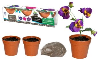 PLANETE PLANTE - 3 Pots Biodegradables et Graines À Planter - Kit de Jardinage - 170037 - Bambou - Jardin - Nature - Plante - Fleurs - Jeu Pour Enfant - À Partir de 4 ans 1