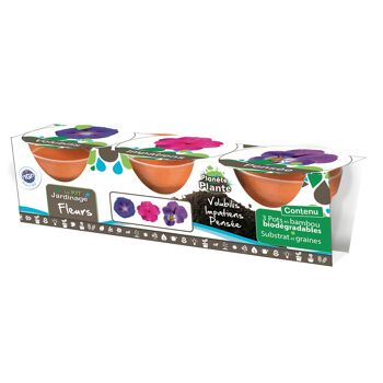 PLANETE PLANTE - 3 Pots Biodegradables et Graines À Planter - Kit de Jardinage - 170037 - Bambou - Jardin - Nature - Plante - Fleurs - Jeu Pour Enfant - À Partir de 4 ans 2