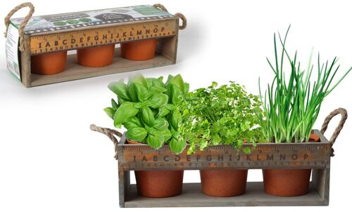 PLANETE PLANTE - Jardinière En Bois Avec 3 Pots Biodegradables et Graines À Planter - Kit de Jardinage - 170038 - Bois - Jardin - Nature - Plante - Fleurs - Jeu Pour Enfant - À Partir de 4 ans