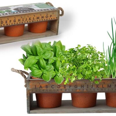 PLANETE PLANTE - Jardinière En Bois Avec 3 Pots Biodegradables et Graines À Planter - Kit de Jardinage - 170038 - Bois - Jardin - Nature - Plante - Fleurs - Jeu Pour Enfant - À Partir de 4 ans