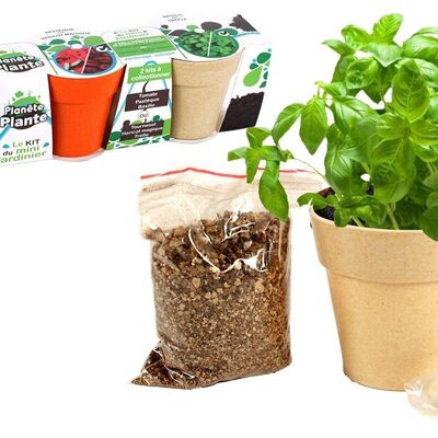 PLANETE PLANTE - 3 Pots Biodegradables et Graines À Planter - Kit de Jardinage - 170051 - Bambou - Jardin - Nature - Plante - Fleurs - Jeu Pour Enfant - À Partir de 3 ans