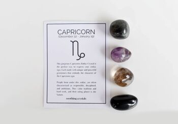 CAPRICORN Tumbled Crystals Kit, CAPRICORN Stones Gift 4