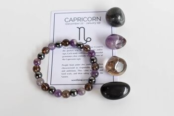 CAPRICORN Tumbled Crystals Kit, CAPRICORN Stones Gift 11