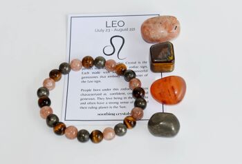 LEO Tumbled Crystals Kit, LEO Stones Gift, Zodiac Set 4