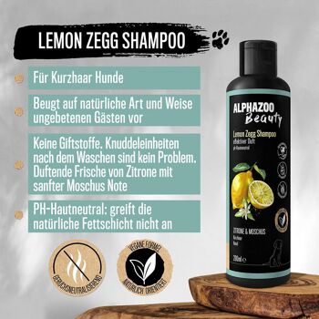 Shampoing Citron Zegg 200 ml 2