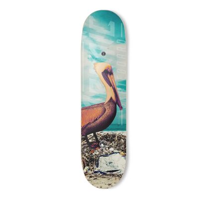 Skateboard PELICAN FISHER 8″ x 31.8″ Collection  2023