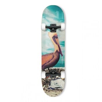 Skateboard PELICAN FISHER 8″ x 31.8″ Collection  2023 2