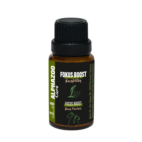 Fokus-Boost Bachblüten 15g