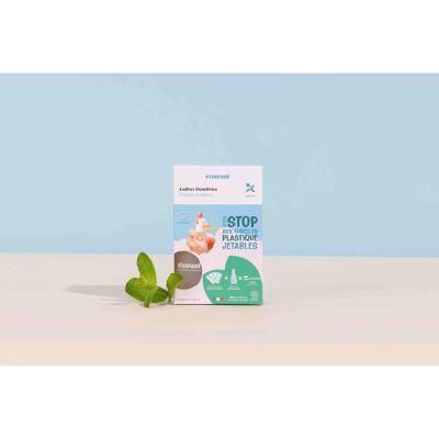 Mint toothpaste box (1 bottle + 4 sticks)