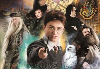 Puzzle 1000 Pièces Harry Potter 2 2