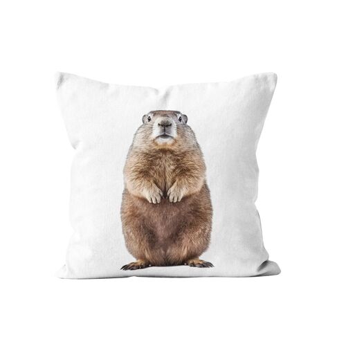 Coussin animal marmotte esprit montagne suédine 40x40cm