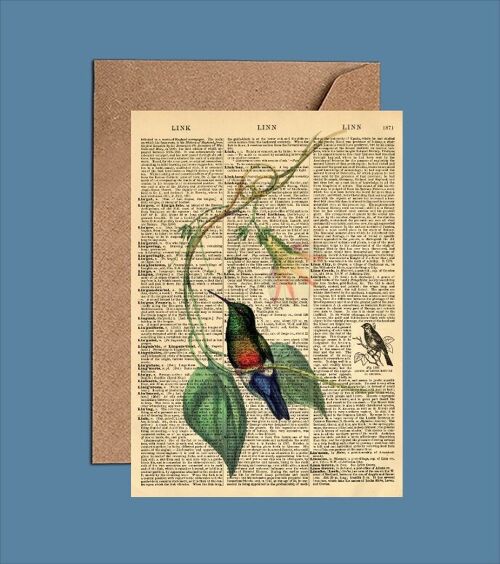 Card With Hummingbird - Hummingbird Dictionary Art Card (WAC23501)