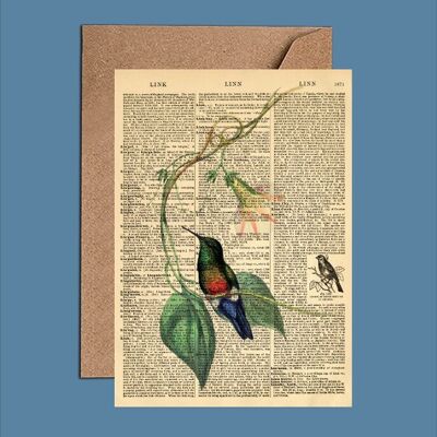 Carte avec colibri – Carte artistique du dictionnaire colibri (WAC23501)