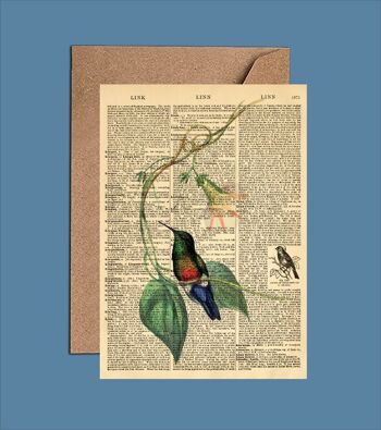 Carte avec colibri – Carte artistique du dictionnaire colibri (WAC23501)