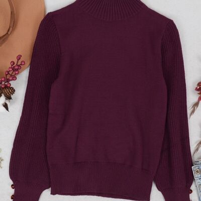 Suéter de cuello alto de color liso-Borgoña