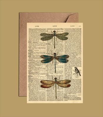 Carte avec libellules – Carte d'art du dictionnaire des libellules (WAC23500)