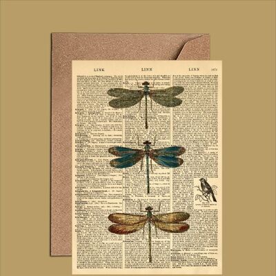 Libellen-Wörterbuch-Kunstkarte (WAC23500)