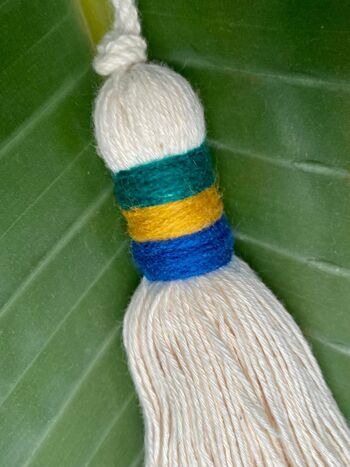 Pompon en coton avec bordure multicolore 9