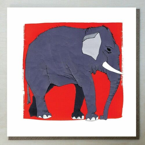 WND20 elephant card