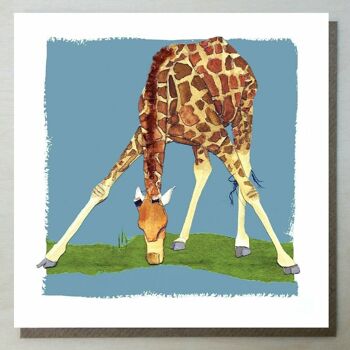 Carte girafe WND43 1