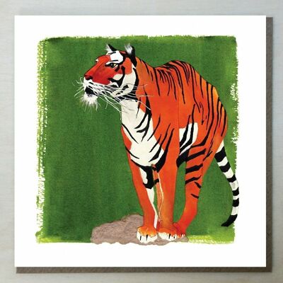 Carte tigre WND72