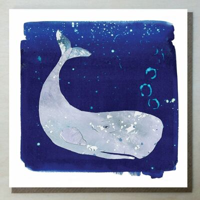 WND97 whale card