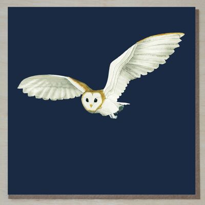 WND216 ann's owl card