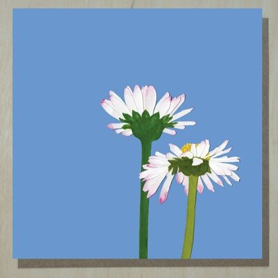 WND268 margarita inglesa (tarjeta de flores silvestres)
