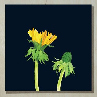 WND 272 dandelion (wild flower card)