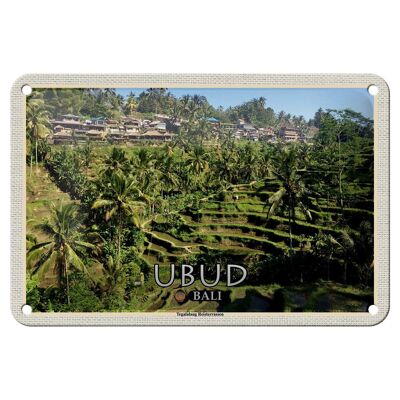 Blechschild Reise 18x12cm Ubud Bali Tegalalang Reisterrassen Schild