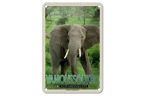 Blechschild Reise 12x18cm Yamoussoukro Elfenbeinküste Nationalpark