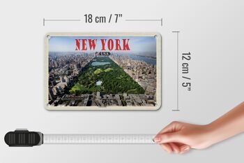 Panneau décoratif de voyage en étain, 18x12cm, New York, USA, Central Park 5